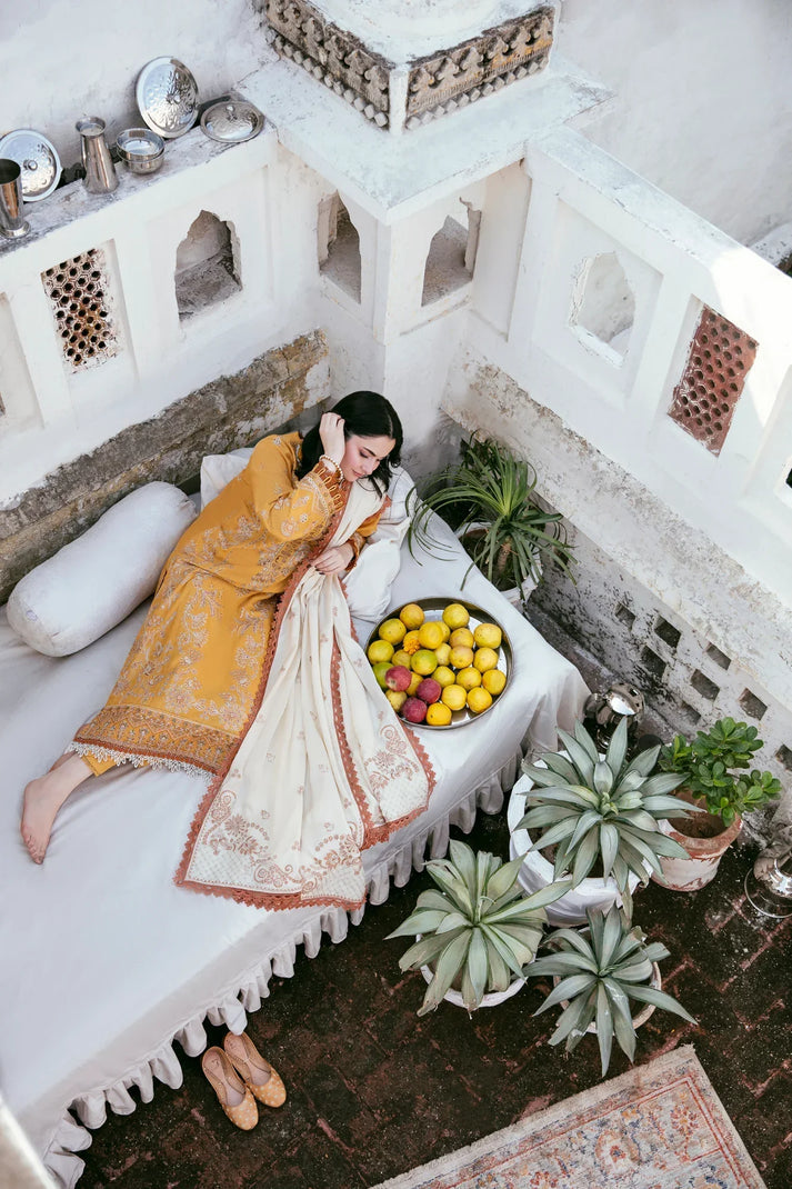 Dhanak 3-Piece Embroidered Dress D-GD 27